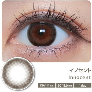 COLOR MAJORITY 1Day Innocent カラーマジョリティー イノセント